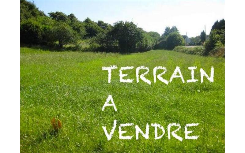 Terrain
