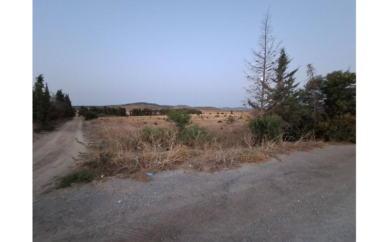 Terrain 4