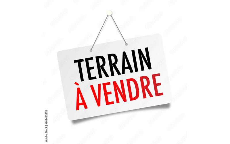 Terrain