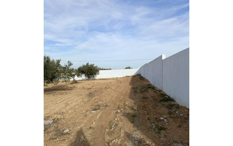 Terrain