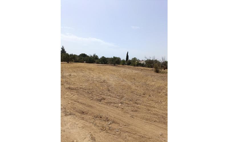 Terrain 4