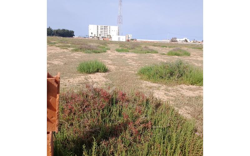 Terrain