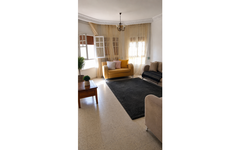 Appartement s+3 3