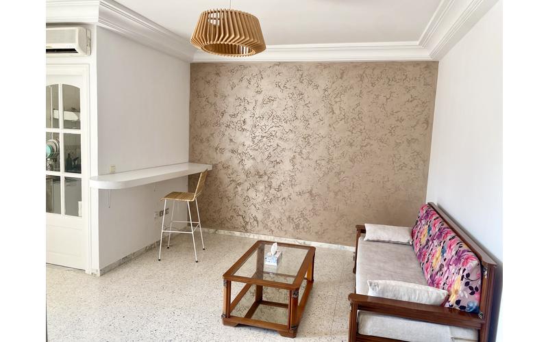 Appartement s+1 2