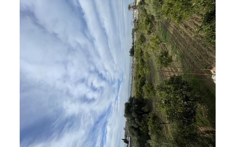 Terrain 2