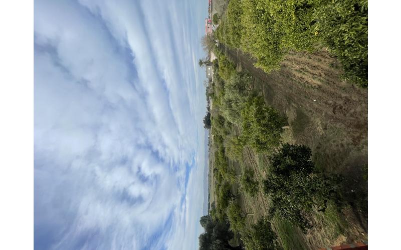 Terrain 3