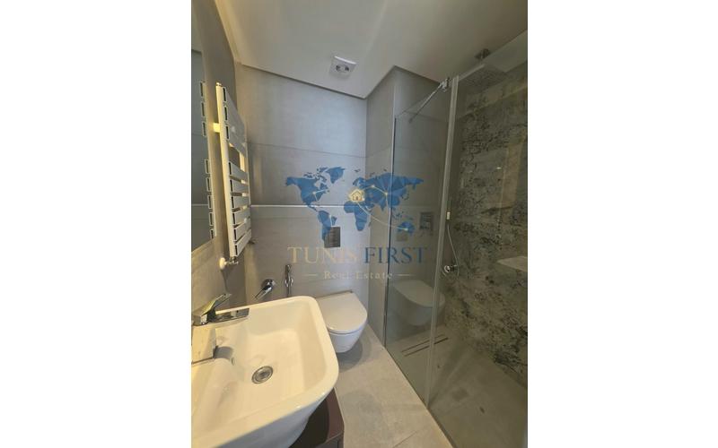 Appartement s+1 3
