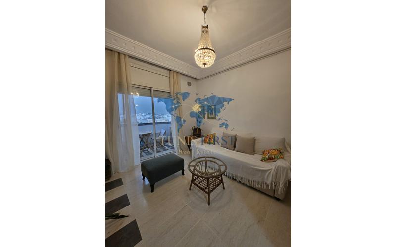 Appartement s+1