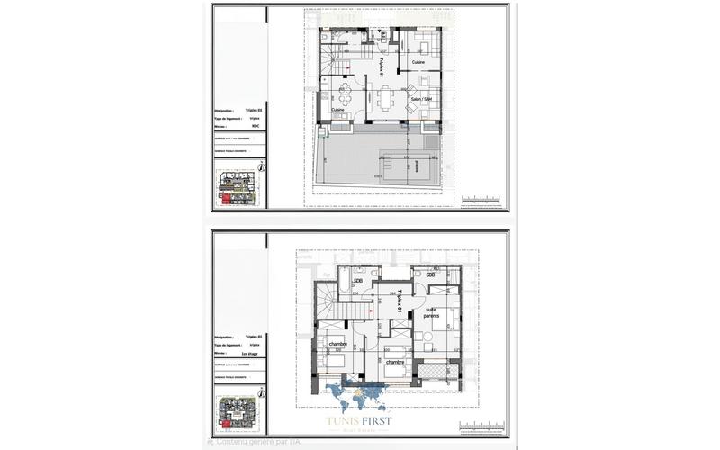 Triplex s+3 2