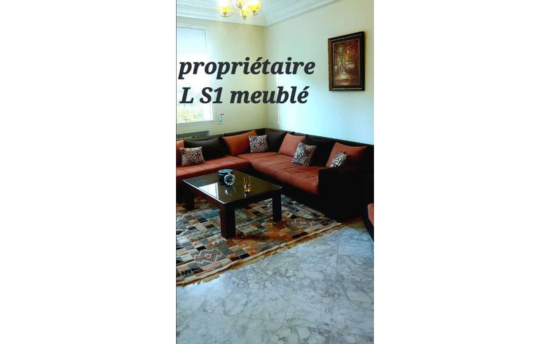 Appartement s+1
