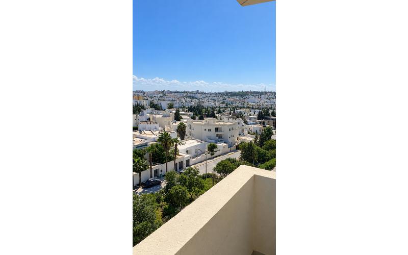 Appartement s+3