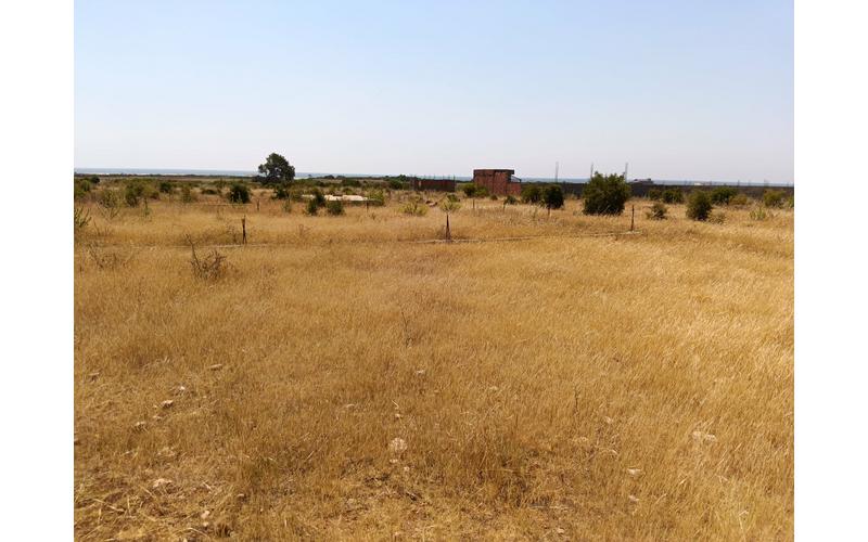 Terrain