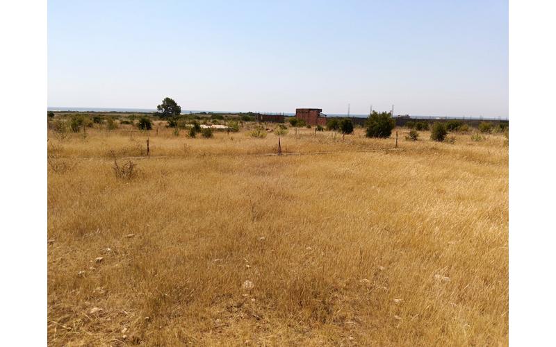 Terrain 2