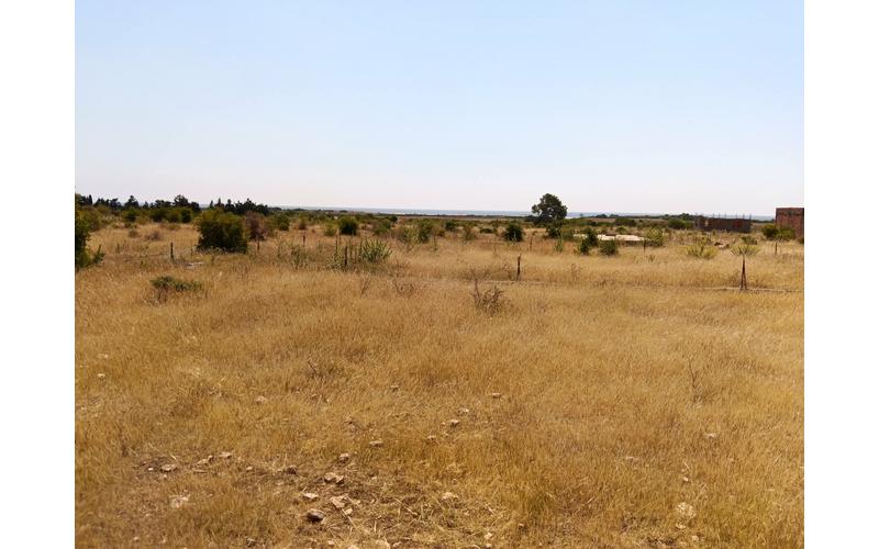 Terrain 3