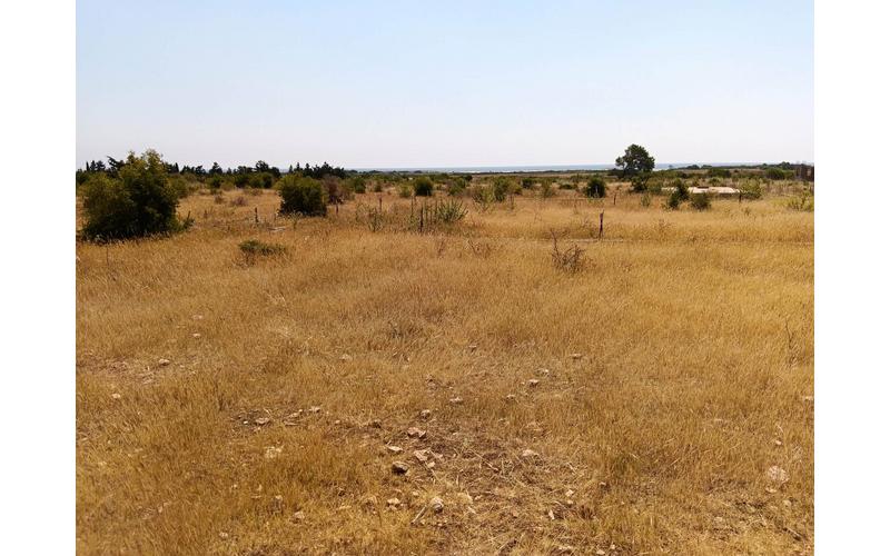 Terrain 4