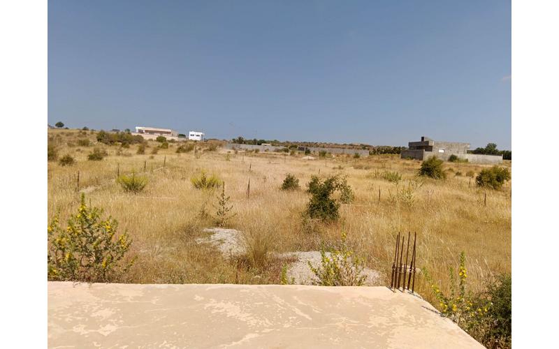 Terrain 6