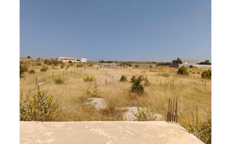 Terrain 7