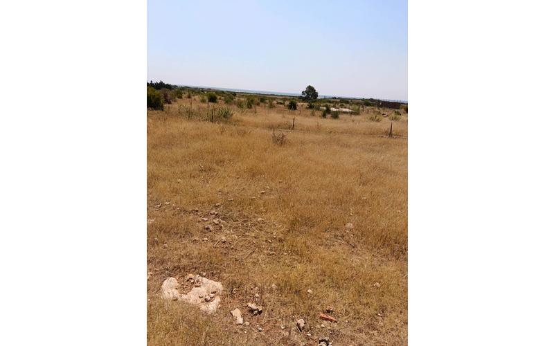 Terrain 13