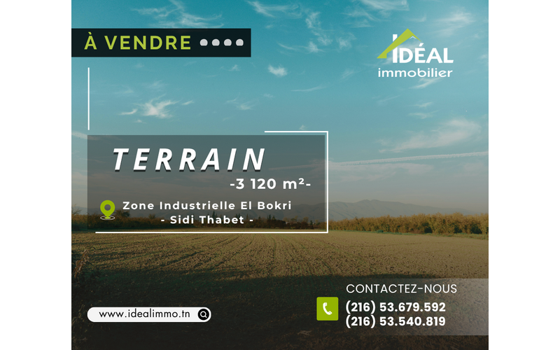 Terrain