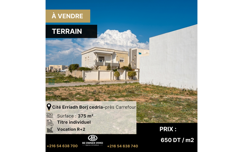 Terrain